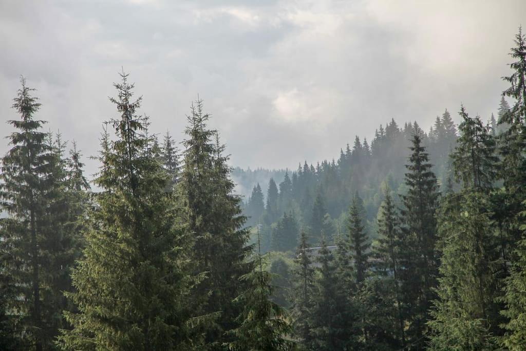 Шале Dereva Yablunytsia Buitenkant foto